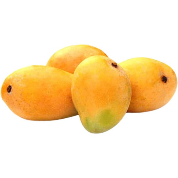 Anwar Ratol Mango - mangoholicae